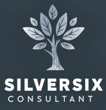 Silversix Consultant